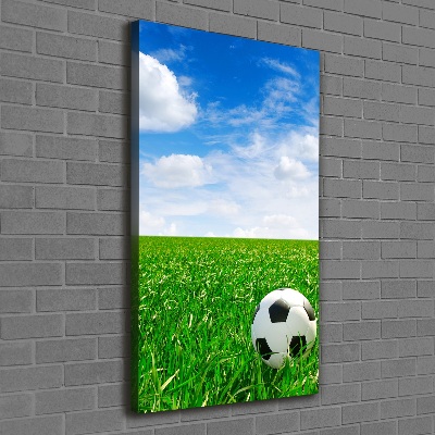 Tableau imprimé sur toile Football dans le pré