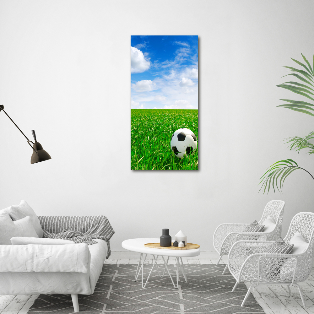 Tableau imprimé sur toile Football dans le pré