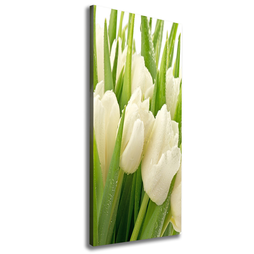 Tableau toile imprimée Tulipes blanches fleurs