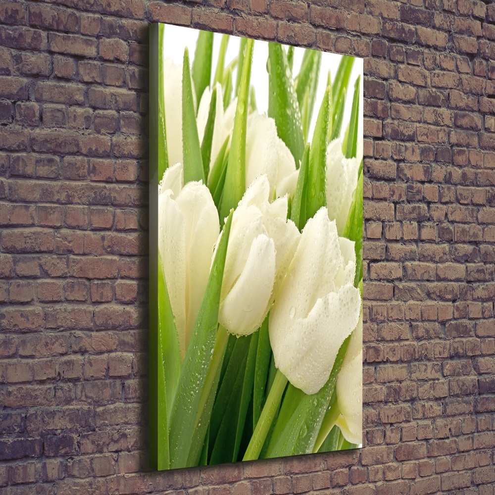 Tableau toile imprimée Tulipes blanches fleurs