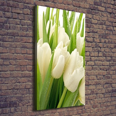 Tableau toile imprimée Tulipes blanches fleurs