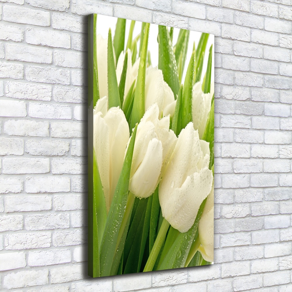 Tableau toile imprimée Tulipes blanches fleurs