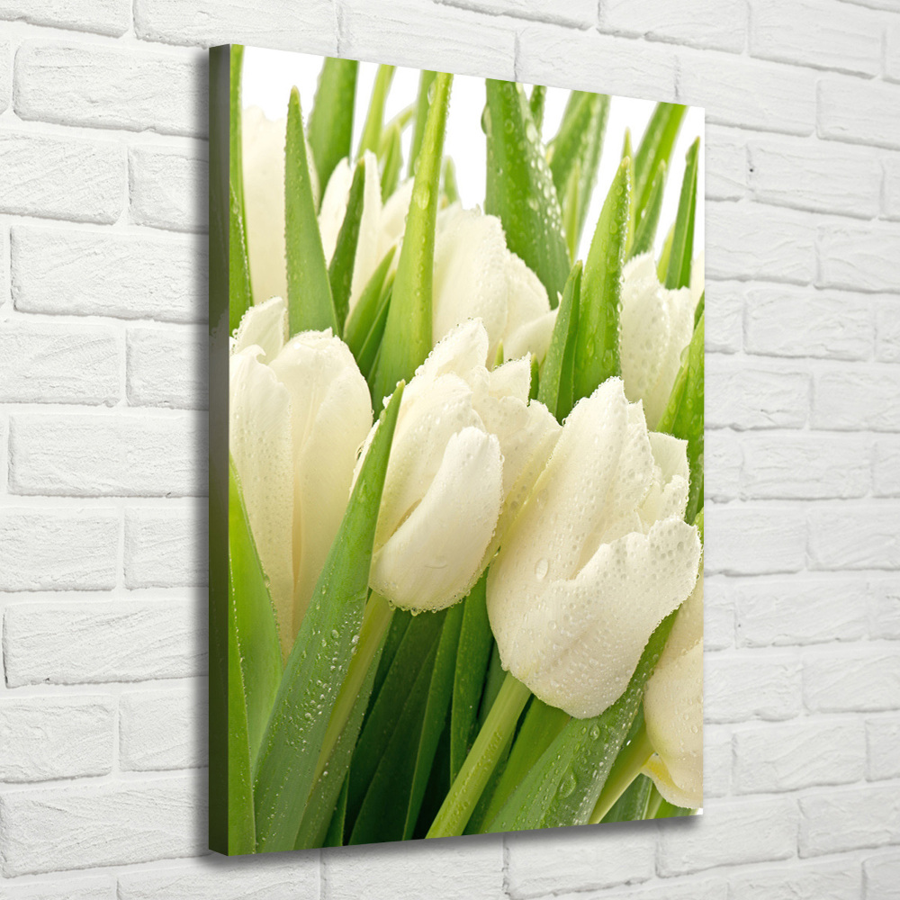 Tableau toile imprimée Tulipes blanches fleurs