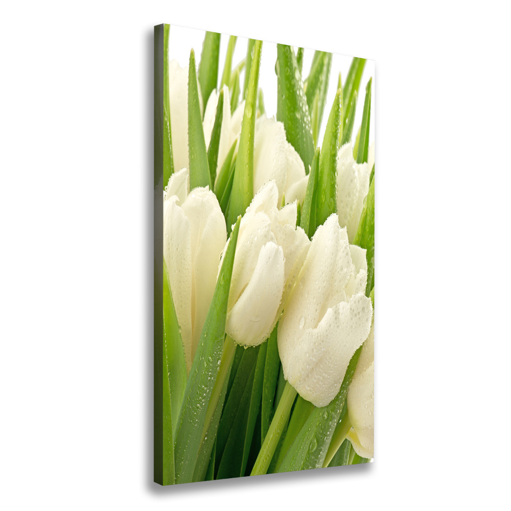 Tableau toile imprimée Tulipes blanches fleurs