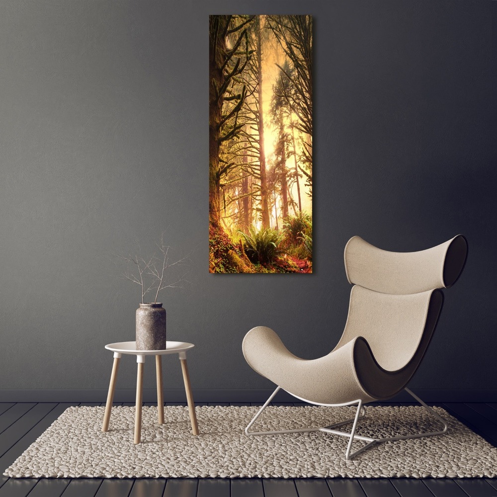 Tableau photo sur toile Forêt tropicale