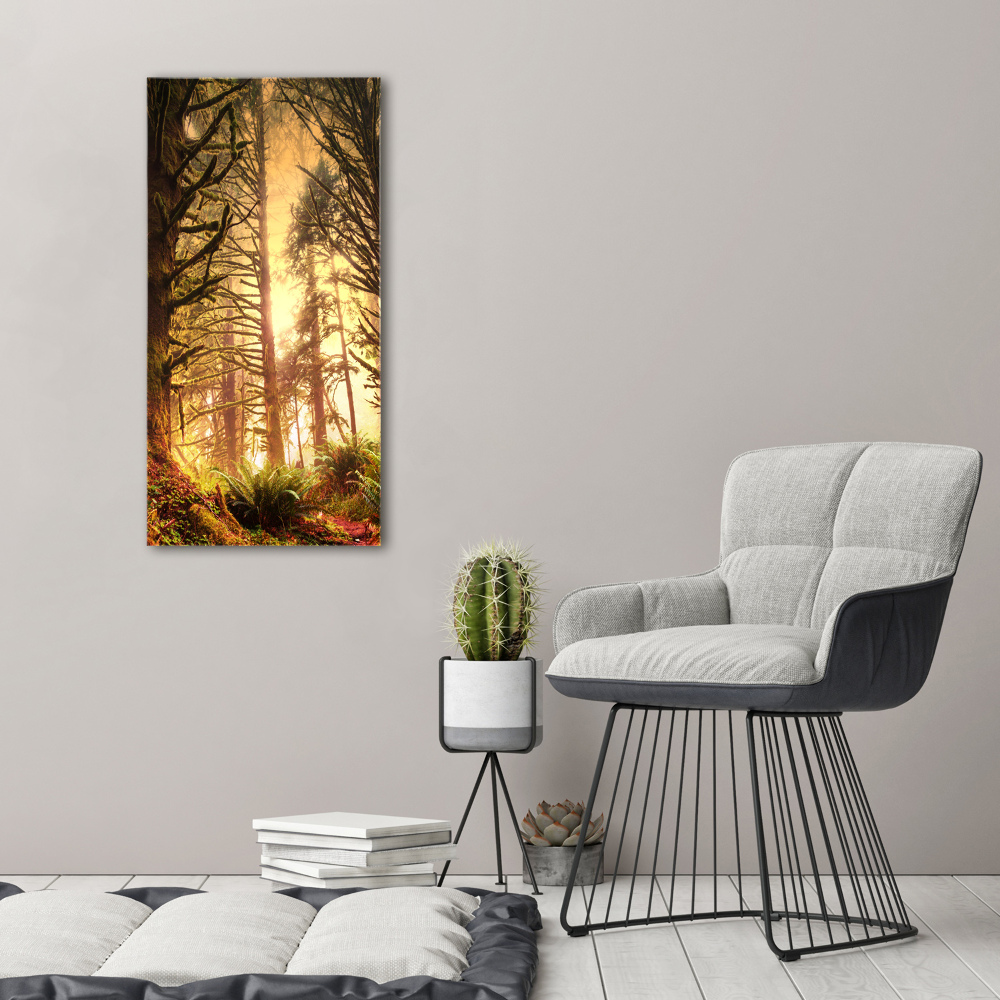 Tableau photo sur toile Forêt tropicale