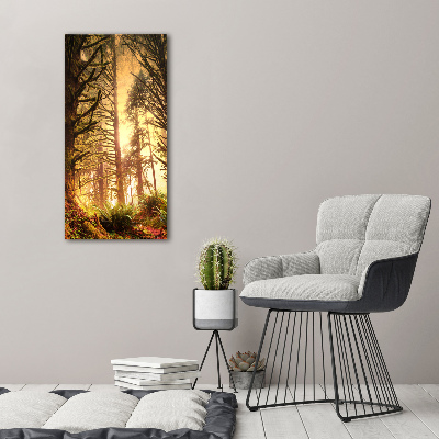 Tableau photo sur toile Forêt tropicale