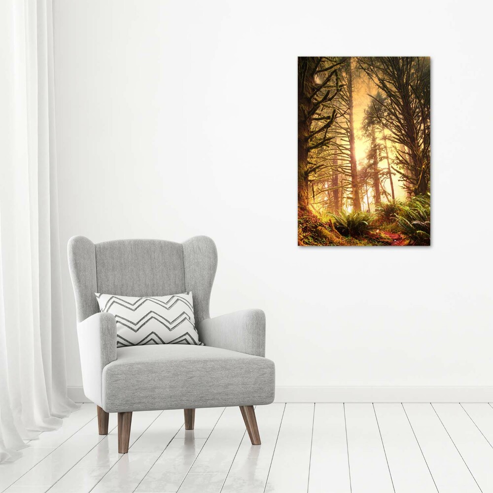 Tableau photo sur toile Forêt tropicale