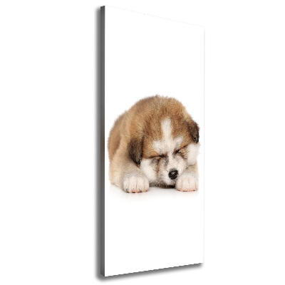 Tableau toile imprimée Chiot Akita