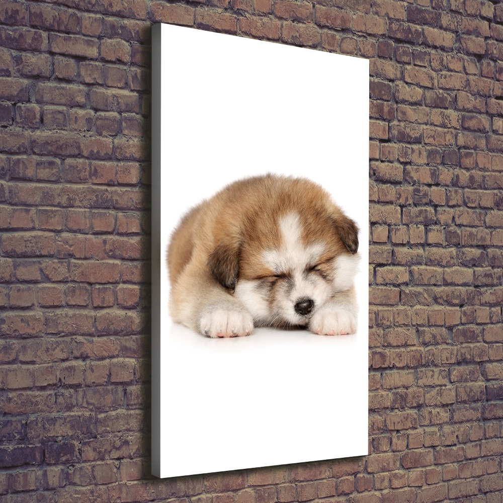 Tableau toile imprimée Chiot Akita