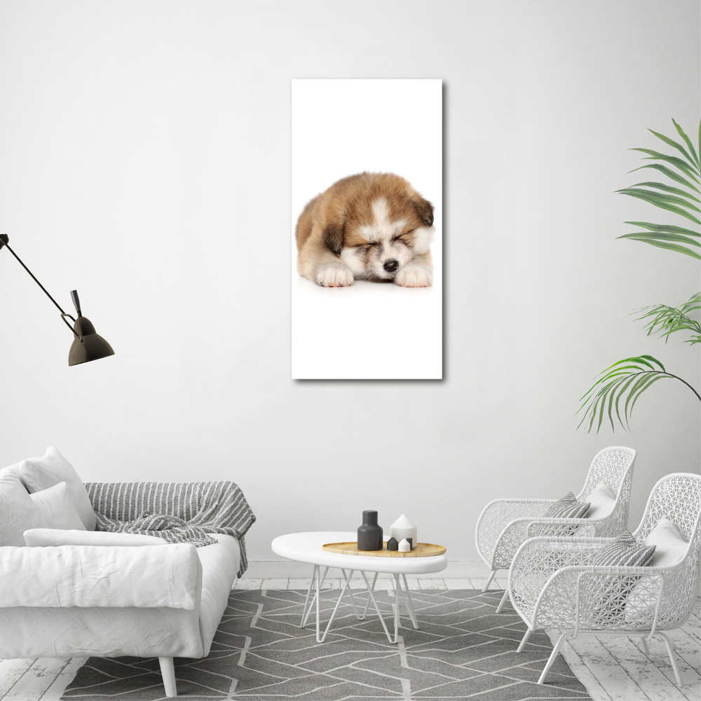 Tableau toile imprimée Chiot Akita