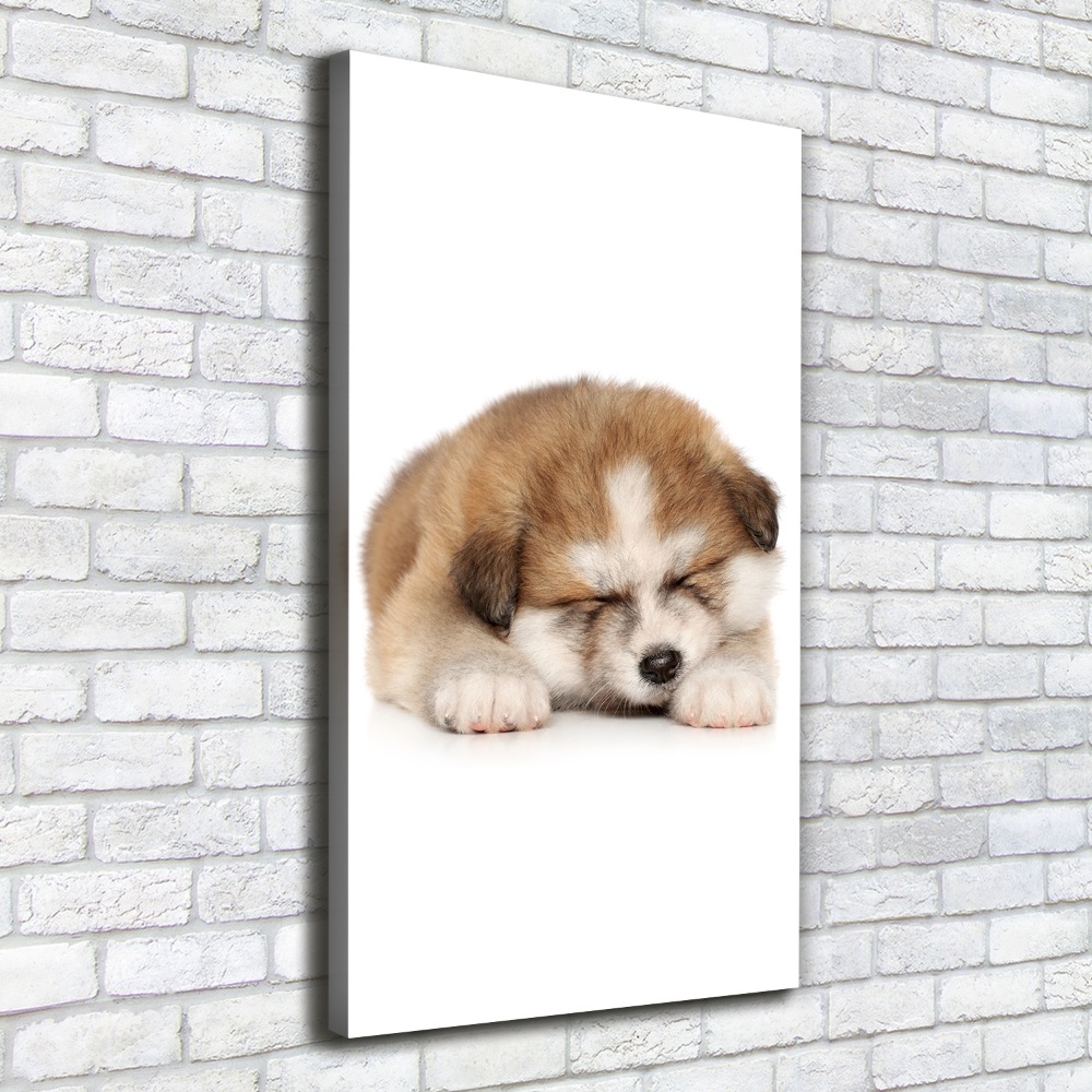 Tableau toile imprimée Chiot Akita