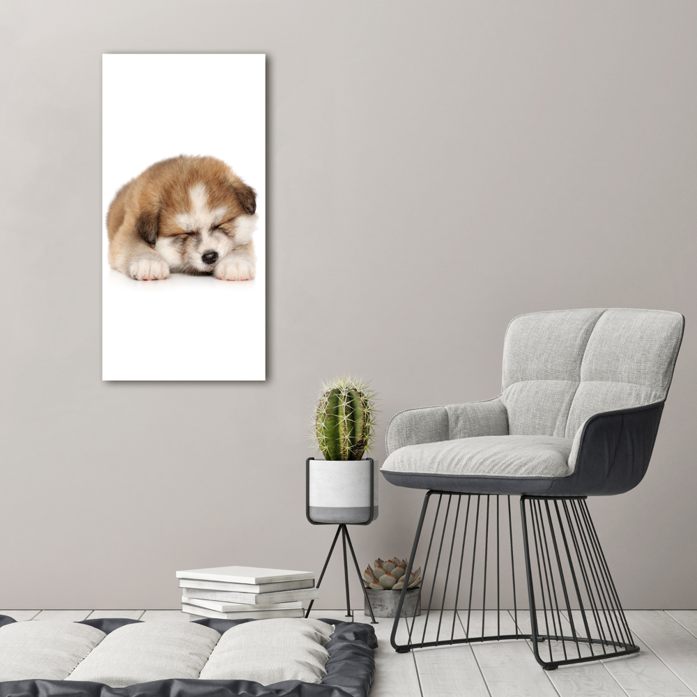 Tableau toile imprimée Chiot Akita