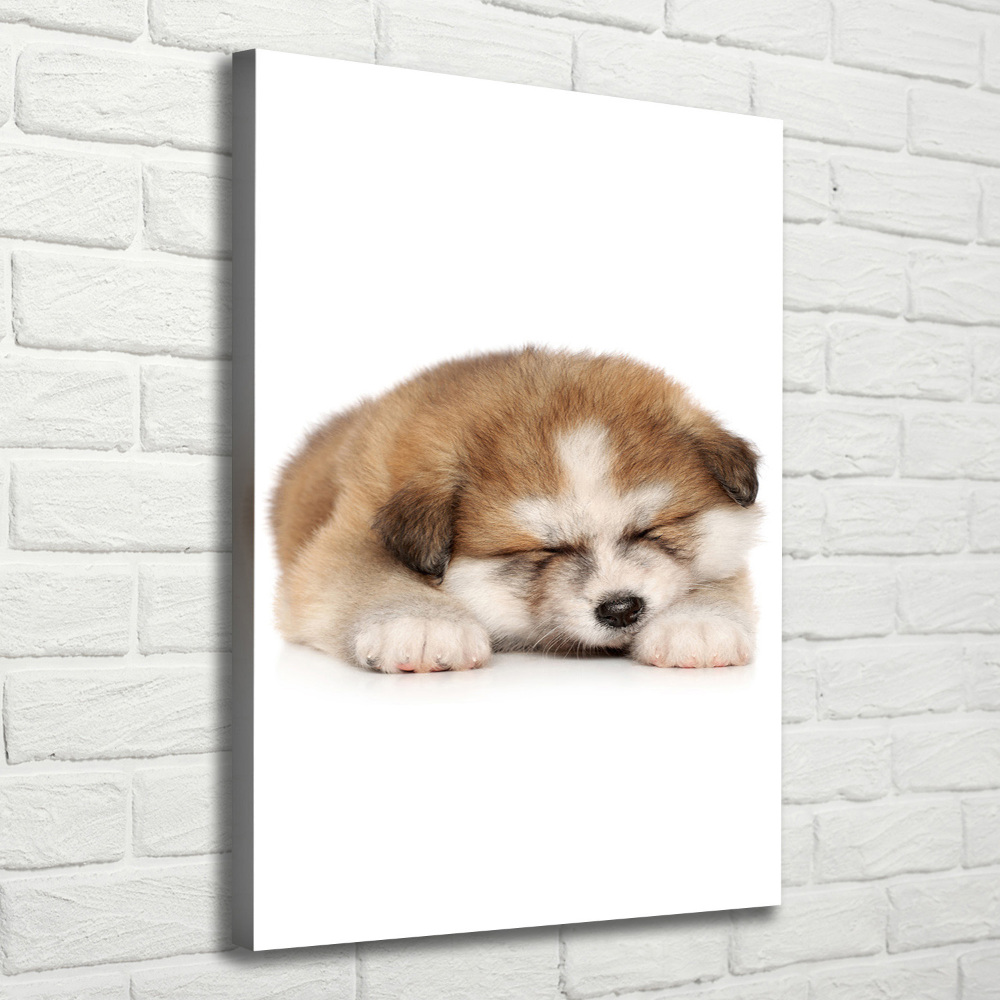 Tableau toile imprimée Chiot Akita