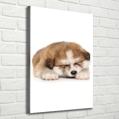 Tableau toile imprimée Chiot Akita