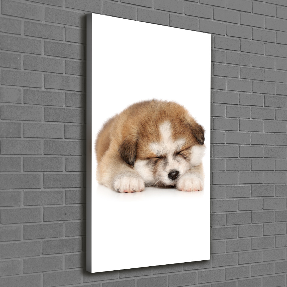 Tableau toile imprimée Chiot Akita