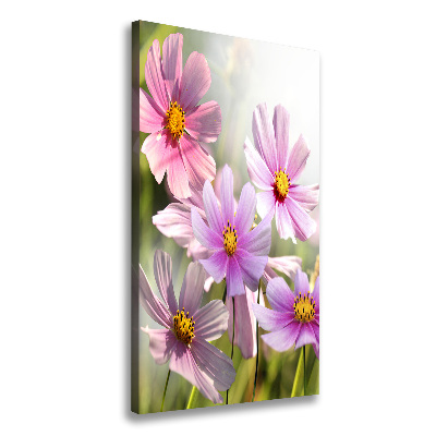 Tableau sur toile Fleurs des champs