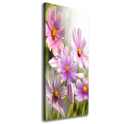 Tableau sur toile Fleurs des champs