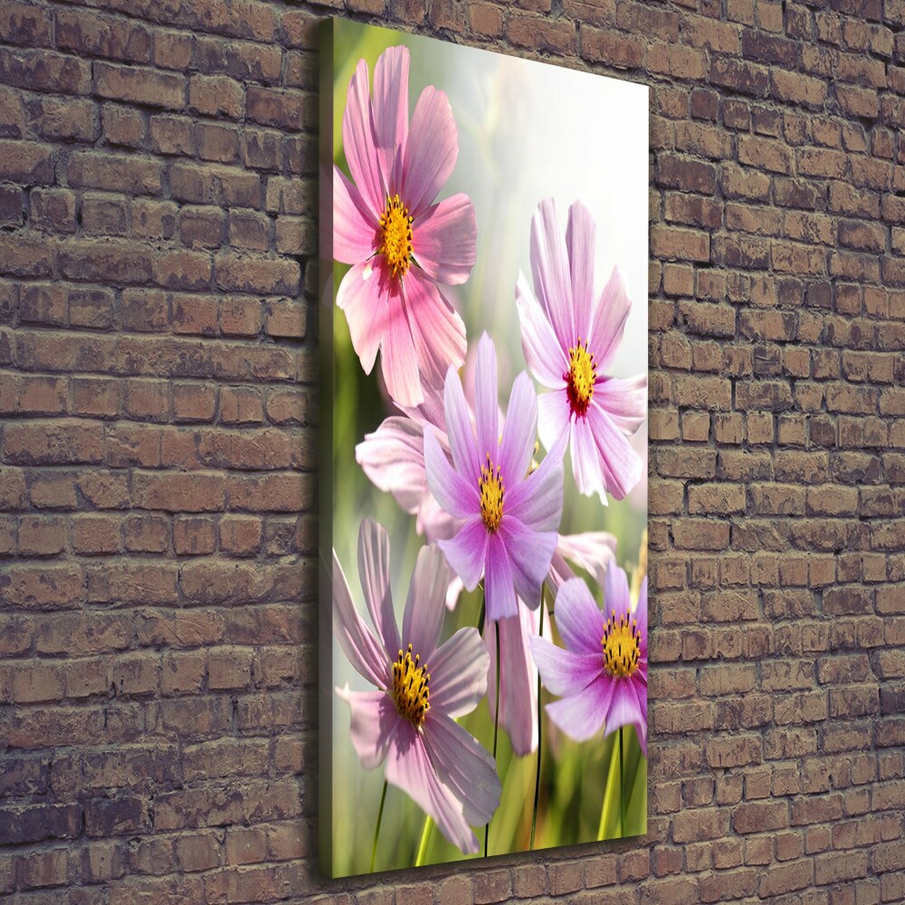 Tableau sur toile Fleurs des champs