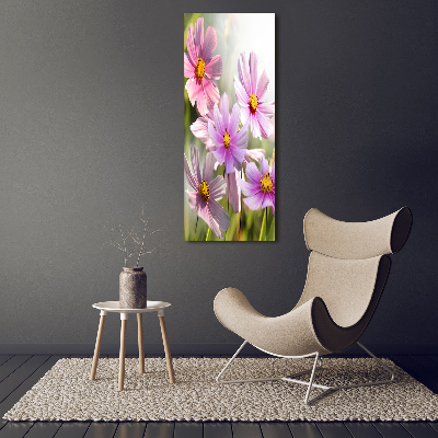 Tableau sur toile Fleurs des champs