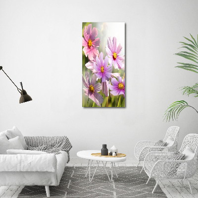 Tableau sur toile Fleurs des champs