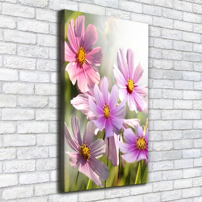 Tableau sur toile Fleurs des champs