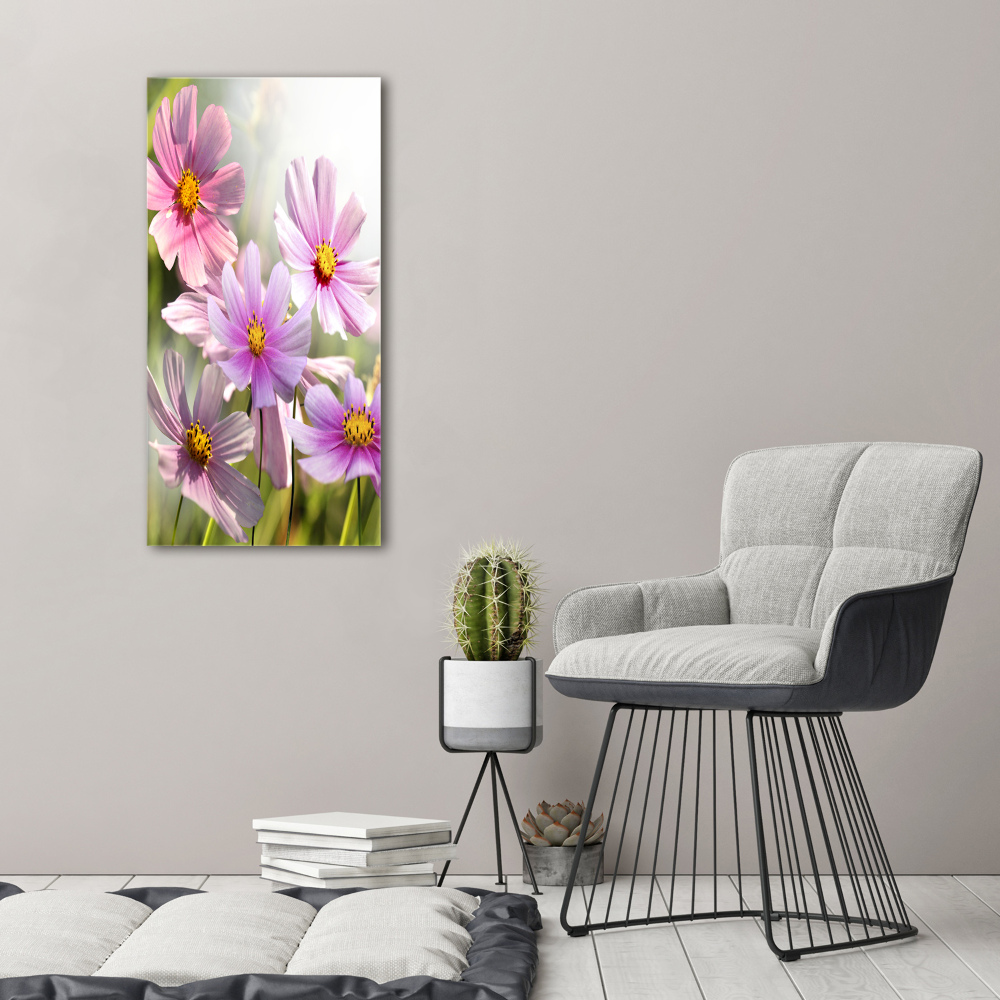 Tableau sur toile Fleurs des champs