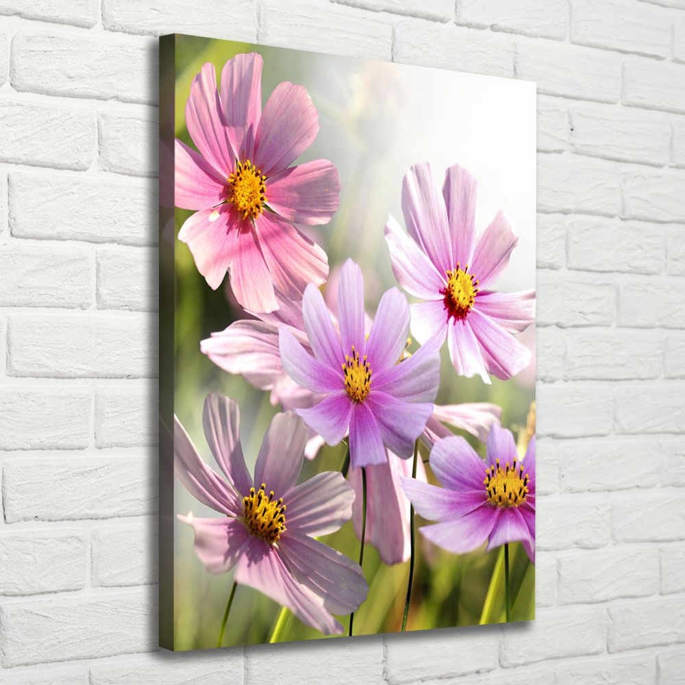 Tableau sur toile Fleurs des champs