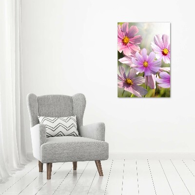 Tableau sur toile Fleurs des champs