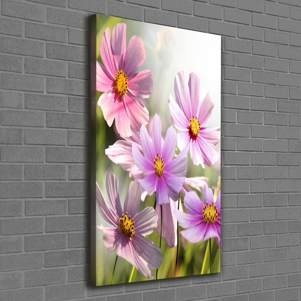 Tableau sur toile Fleurs des champs