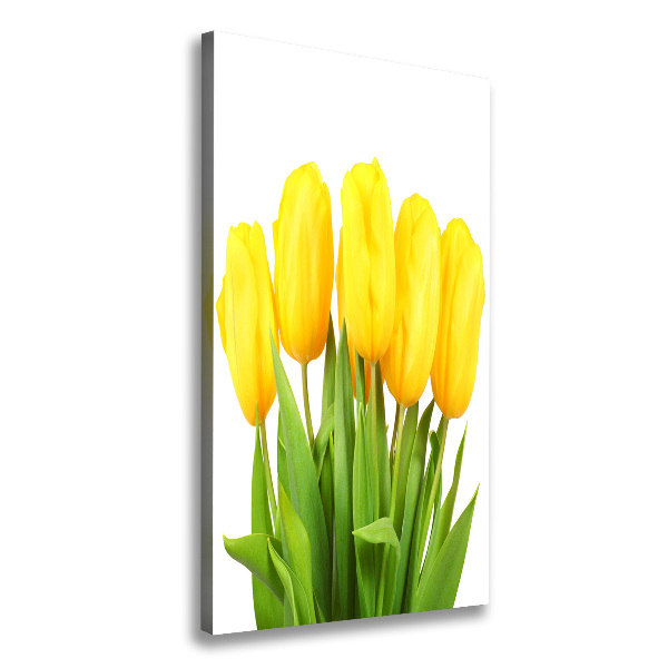 Tulipes jaunes