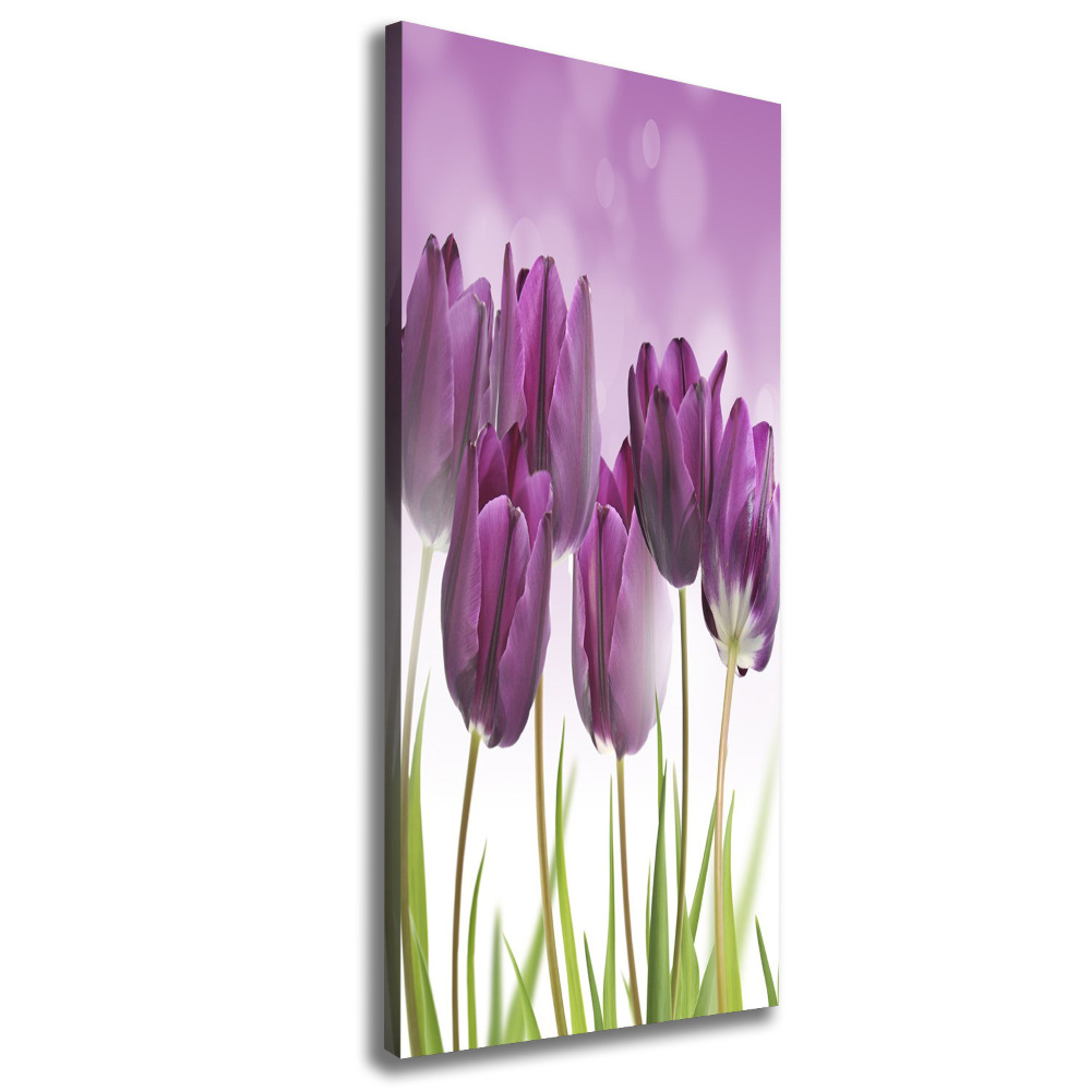 Tableau toile imprimée Tulipes violettes