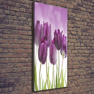 Tableau toile imprimée Tulipes violettes