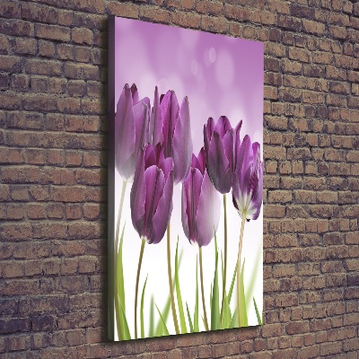 Tableau toile imprimée Tulipes violettes