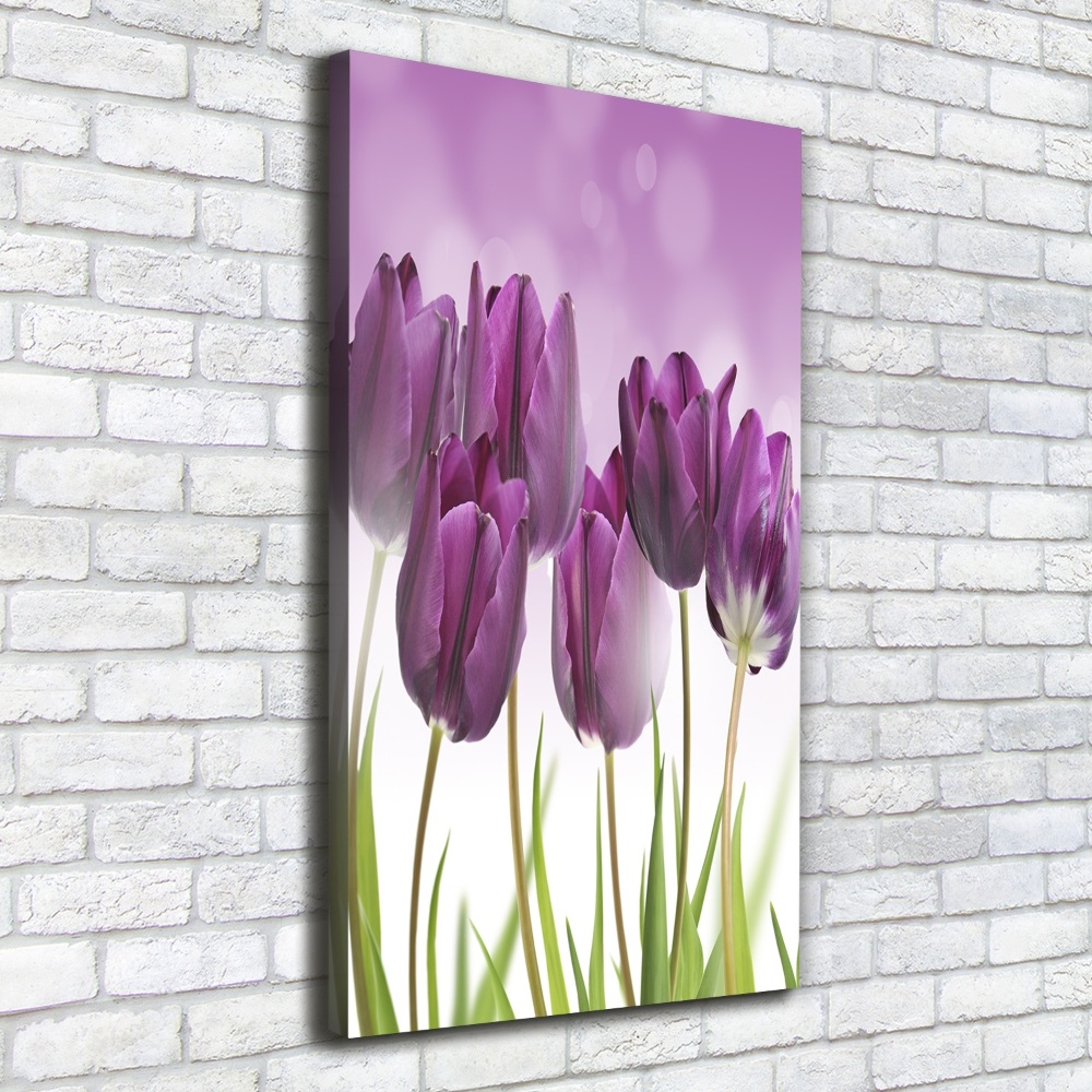 Tableau toile imprimée Tulipes violettes