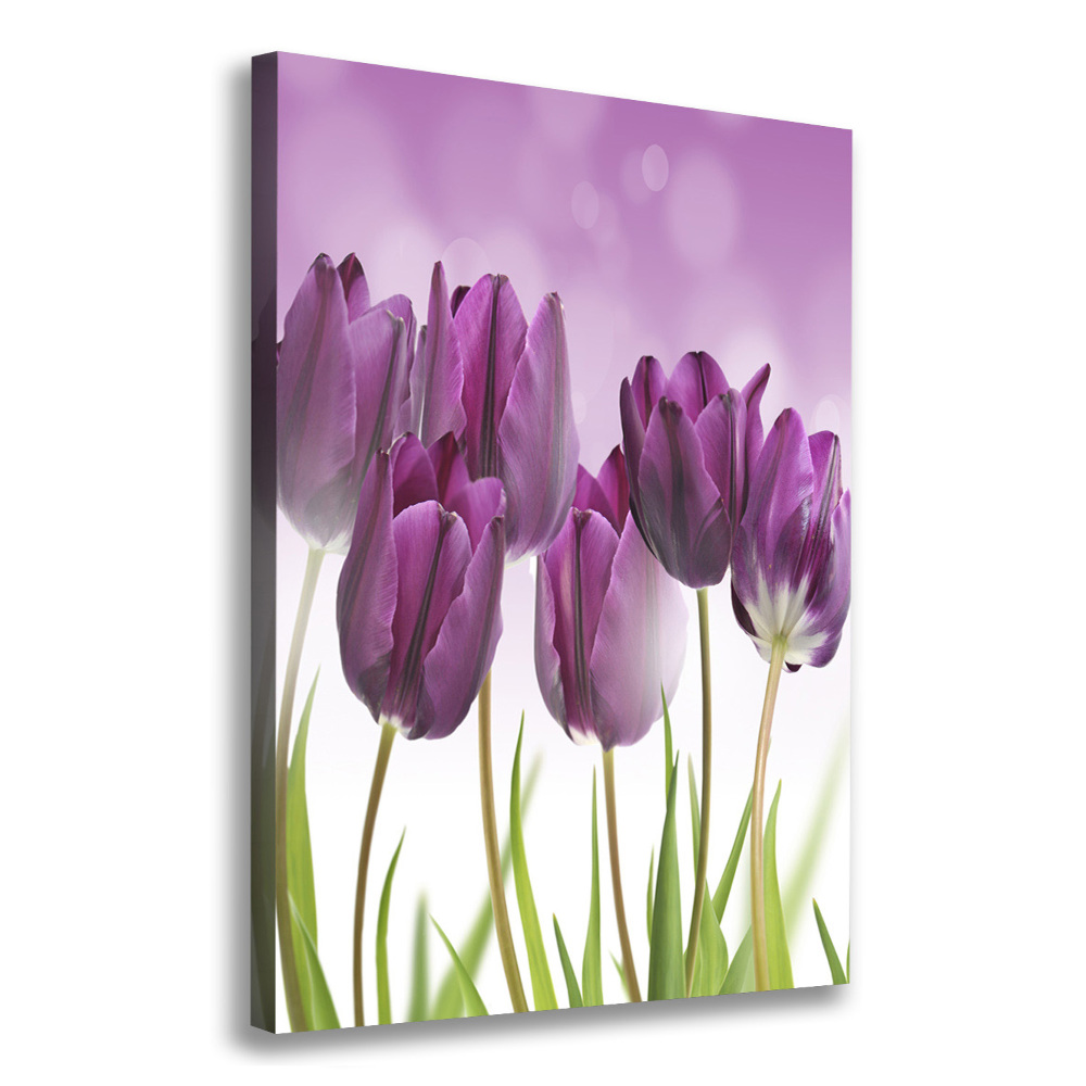 Tableau toile imprimée Tulipes violettes