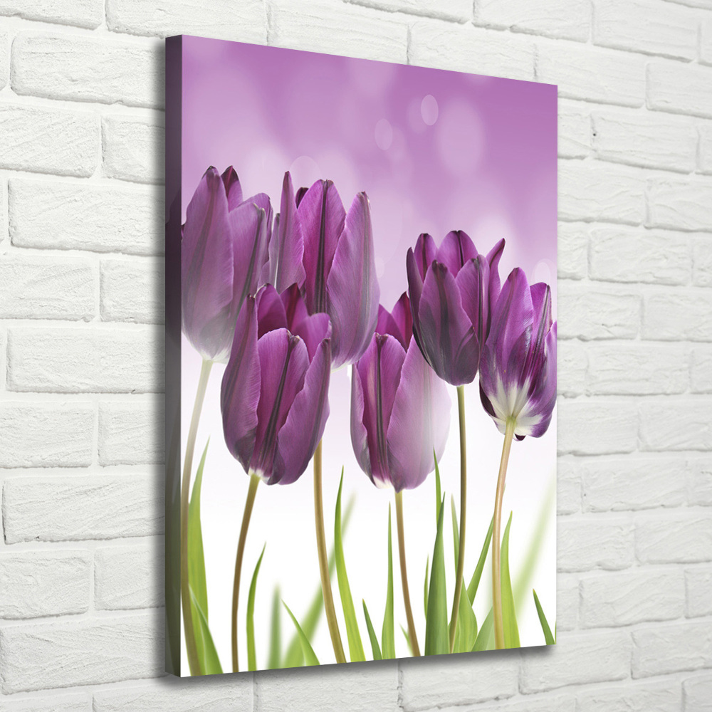 Tableau toile imprimée Tulipes violettes