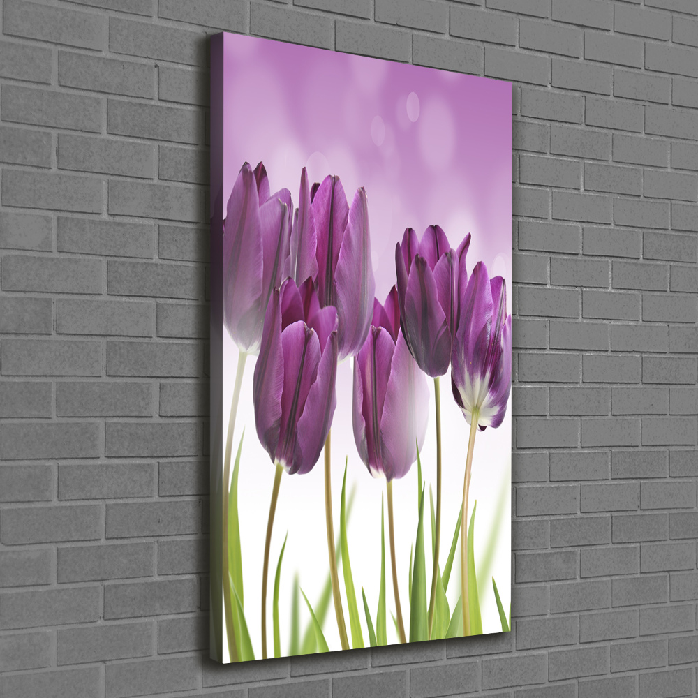 Tableau toile imprimée Tulipes violettes