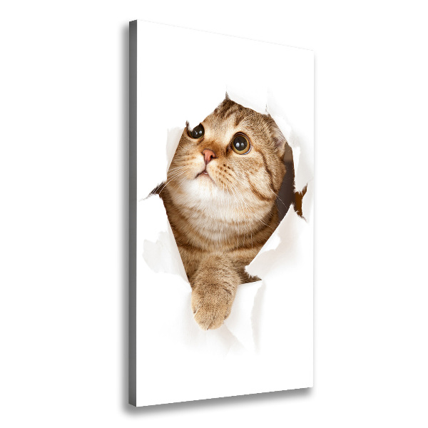 Chat