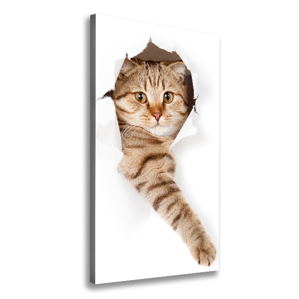 Chat