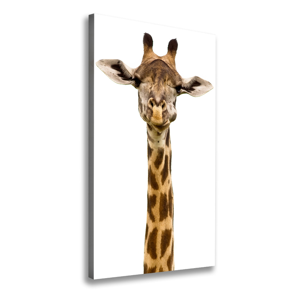 Tableau mural sur toile Girafe