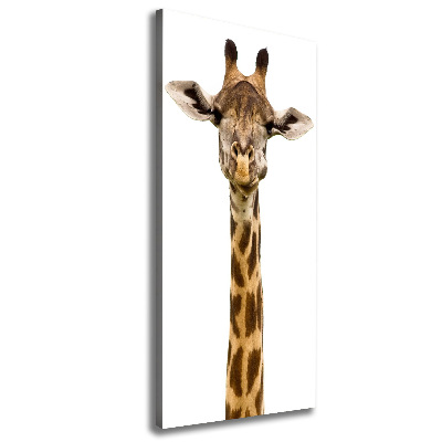 Tableau mural sur toile Girafe