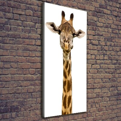 Tableau mural sur toile Girafe