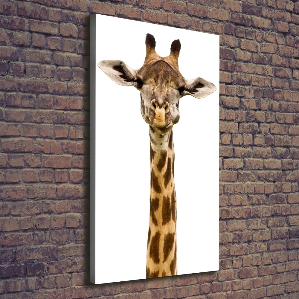 Tableau mural sur toile Girafe