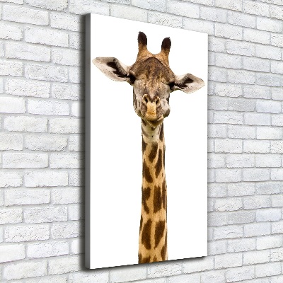 Tableau mural sur toile Girafe