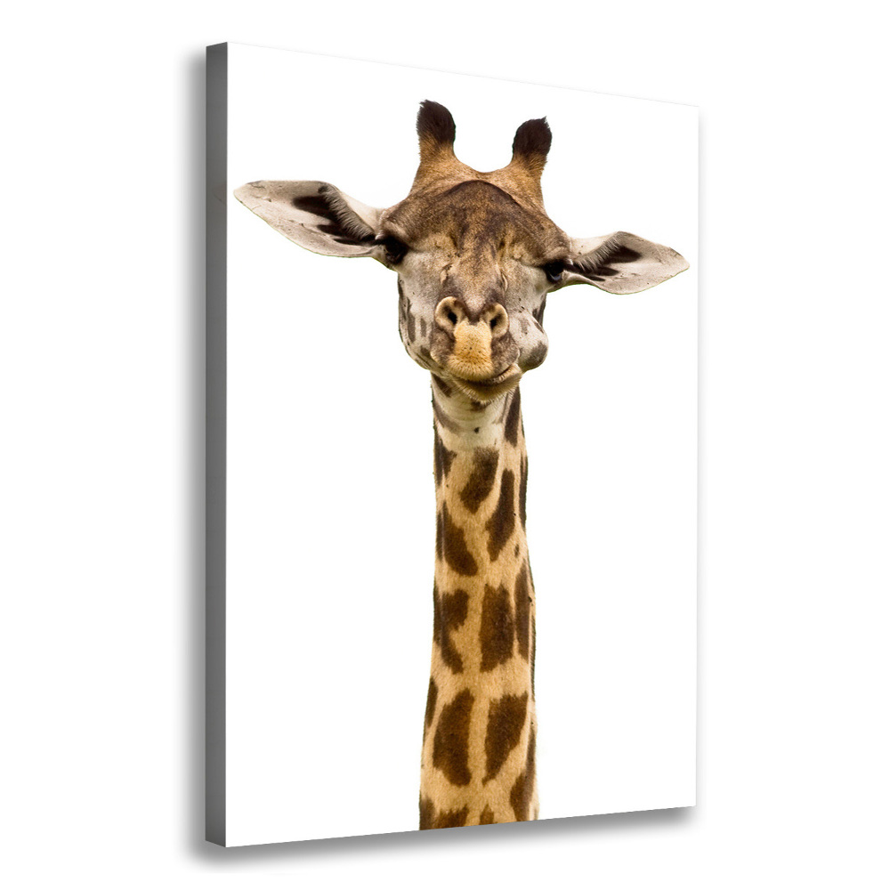 Tableau mural sur toile Girafe