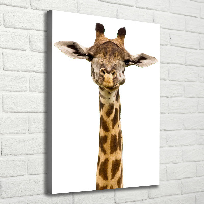 Tableau mural sur toile Girafe