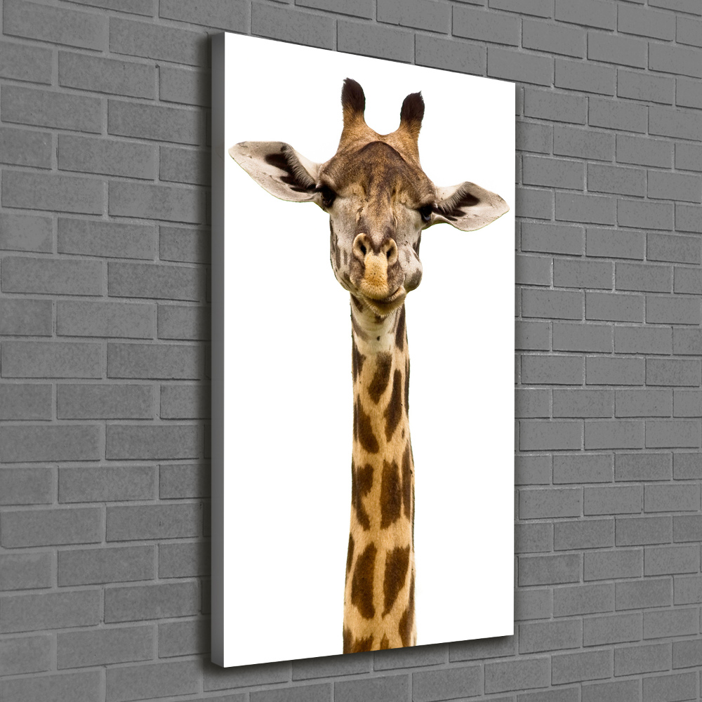 Tableau mural sur toile Girafe