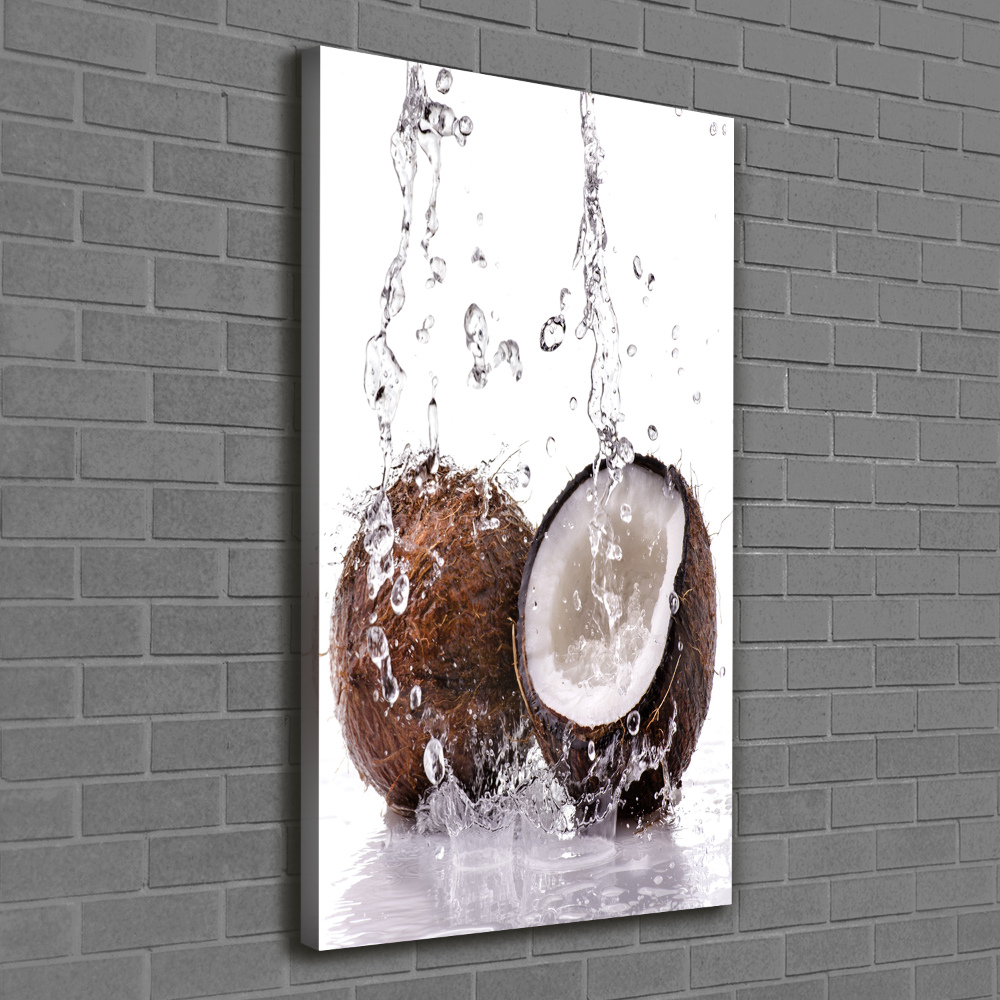 Tableau mural sur toile Noix de coco