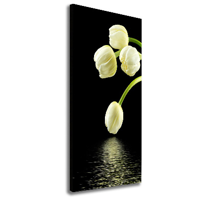 Tableau photo sur toile Tulipes blanches fleurs